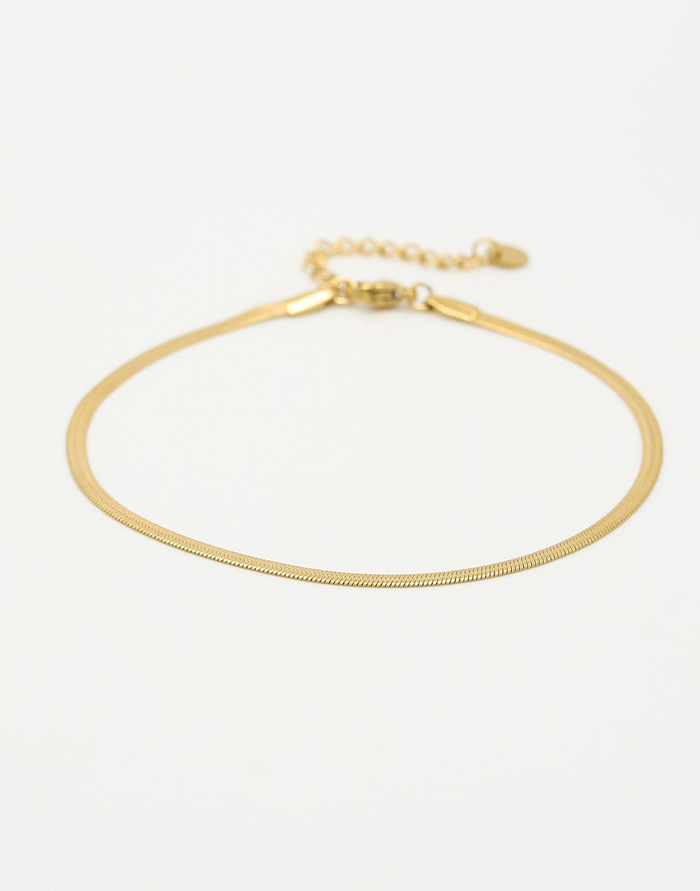 gold-colored snake anklet