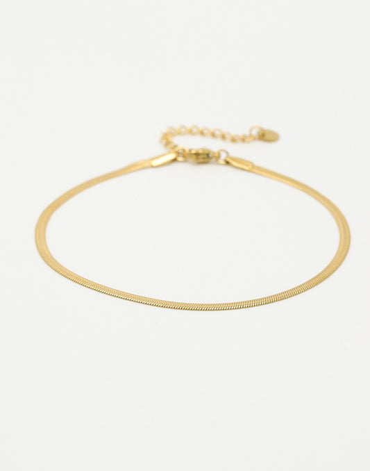 gold-colored snake anklet