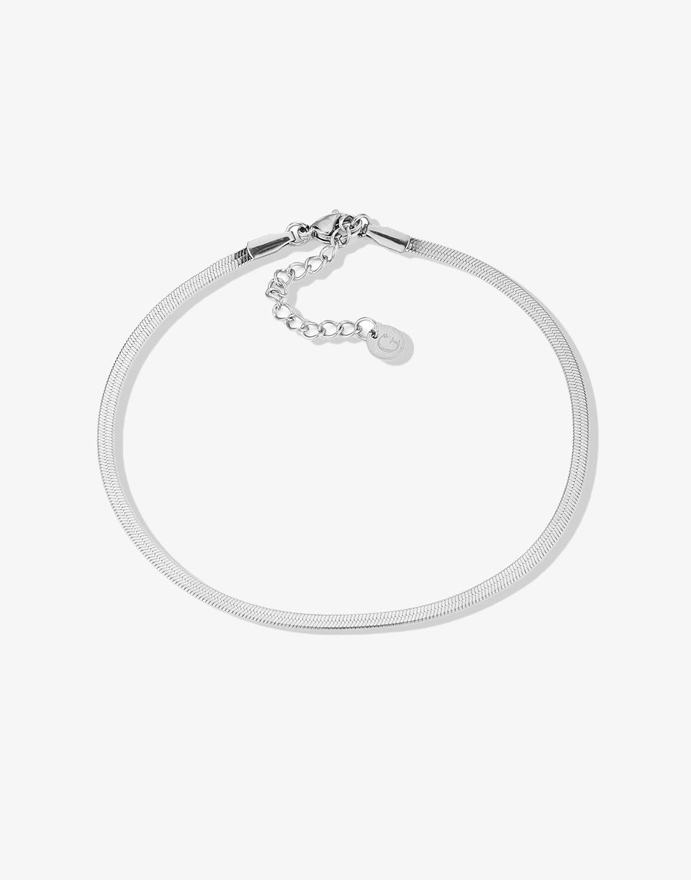 silver-colored snake anklet