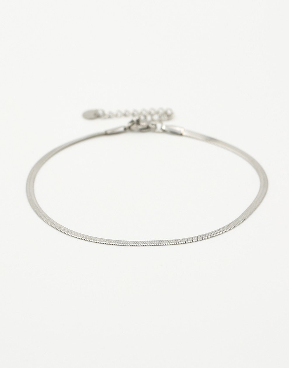 silver-colored snake anklet