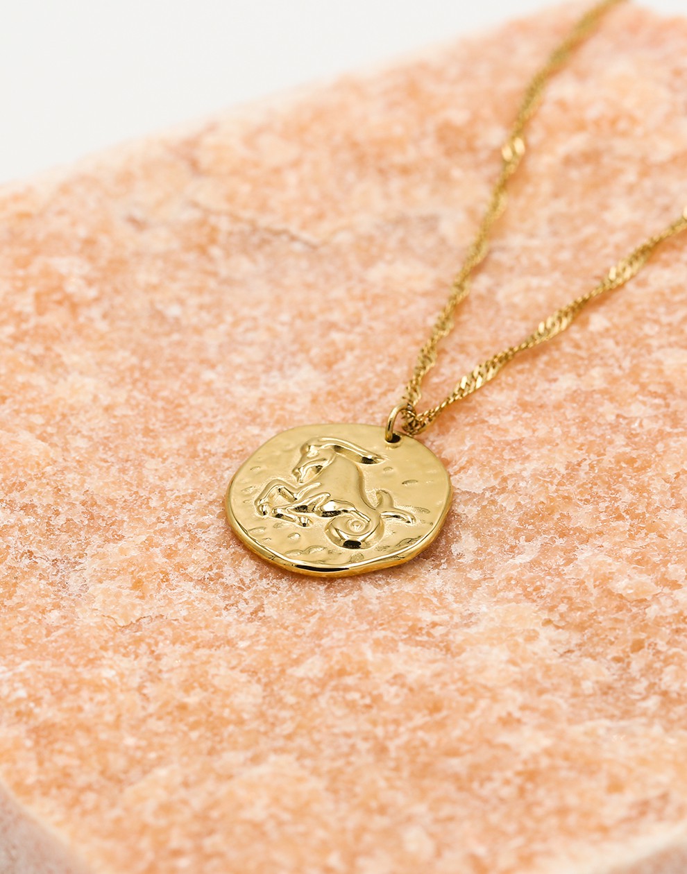 Sterrenbeeld zodiac ketting steenbok goudkleurig