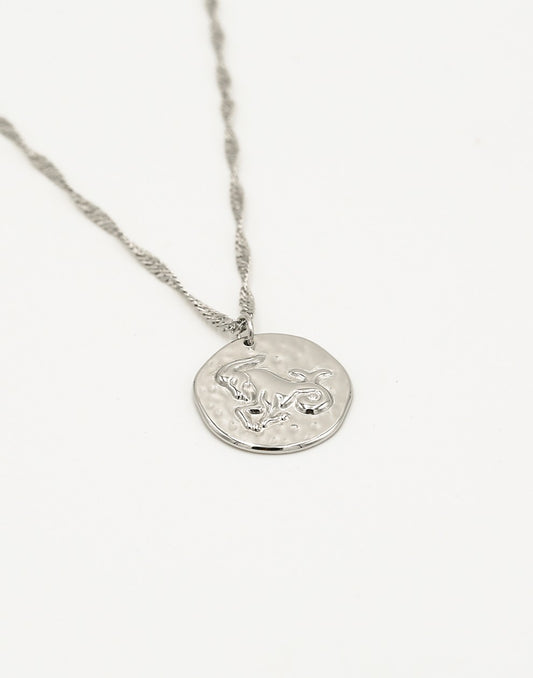 Sterrenbeeld zodiac ketting steenbok zilverkleurig