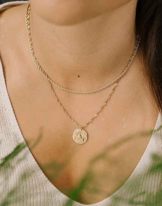 Sterrenbeeld zodiac ketting steenbok goudkleurig