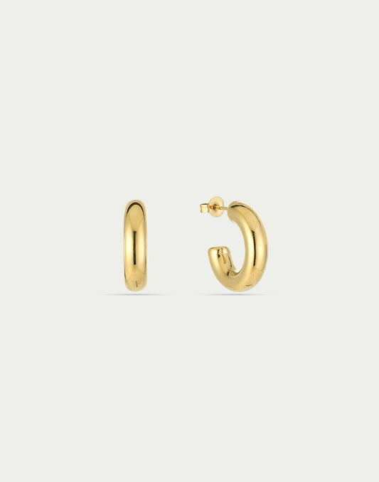 Basic gold-colored earrings