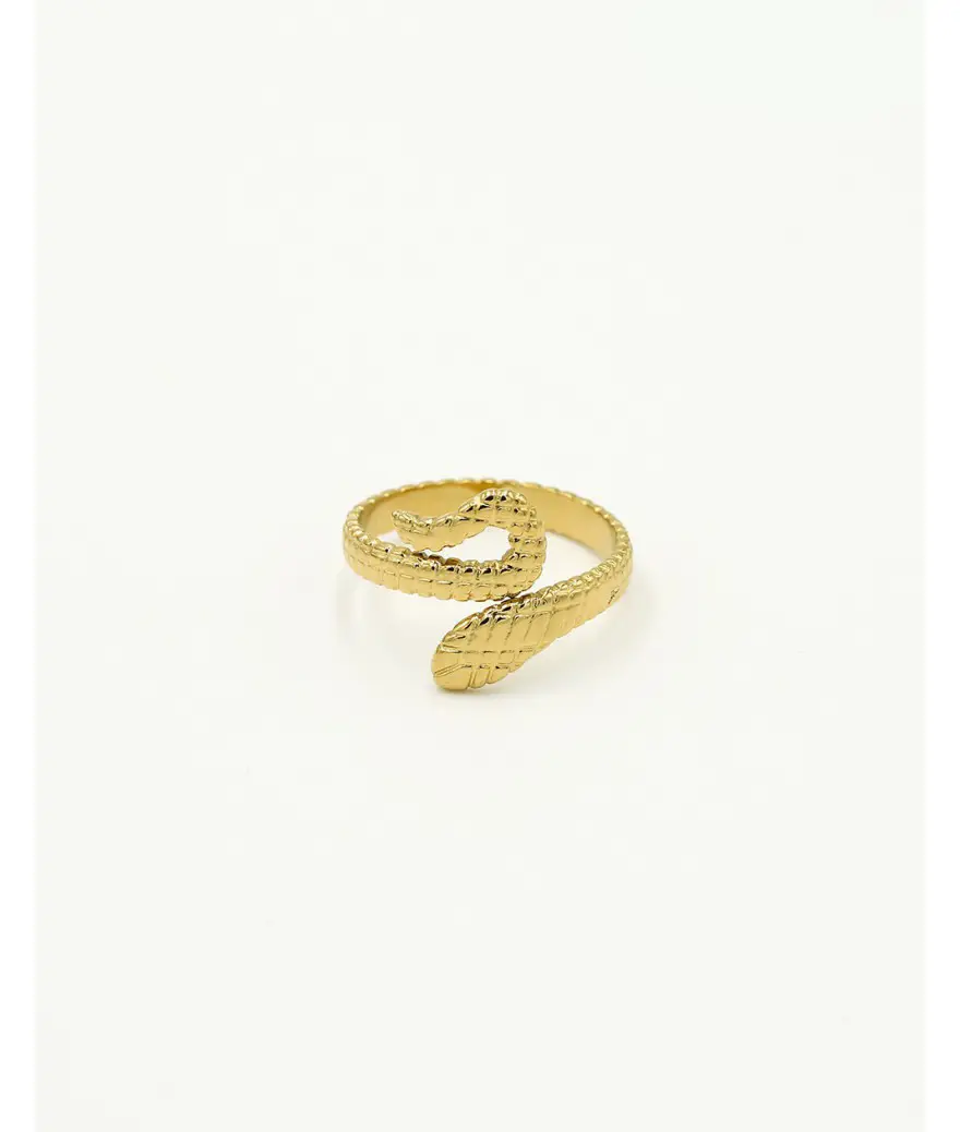 Ring slang goud