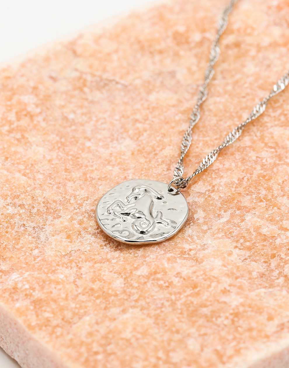 Sterrenbeeld zodiac ketting steenbok zilverkleurig