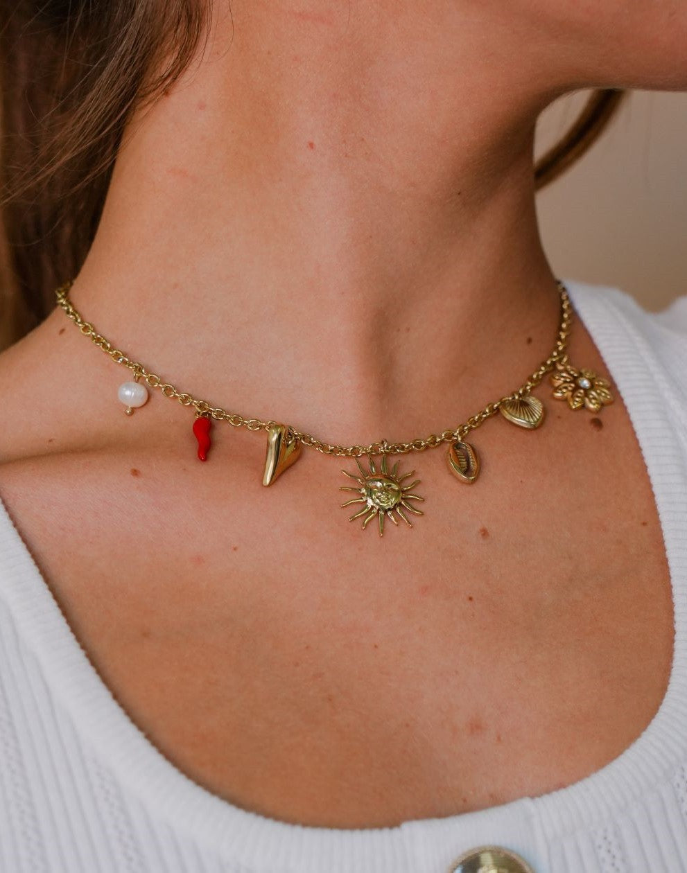 Charm necklace with various charms