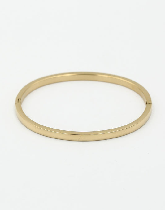 Slaven armband bangle goudkleurig