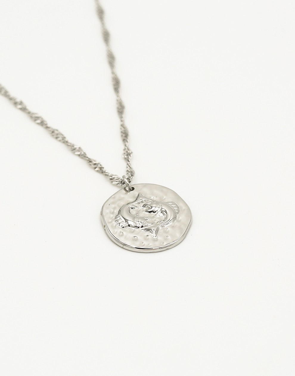 Sterrenbeeld zodiac ketting vissen zilverkleurig