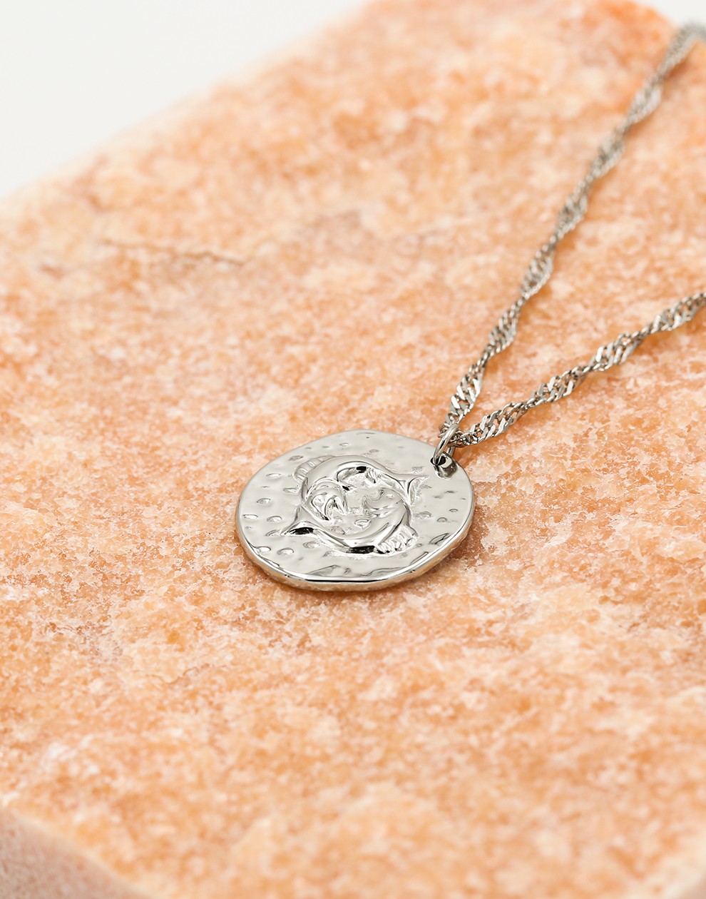 Sterrenbeeld zodiac ketting vissen zilverkleurig