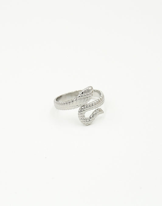 Ring slang zilverkleurig