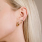 Studs klavers zwart goudkleurig