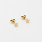 Studs ster goudkleurig