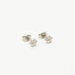 Studs hondenpootjes zilverkleurig