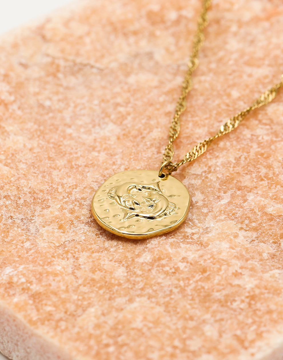 Sterrenbeeld zodiac ketting vissen goudkleurig